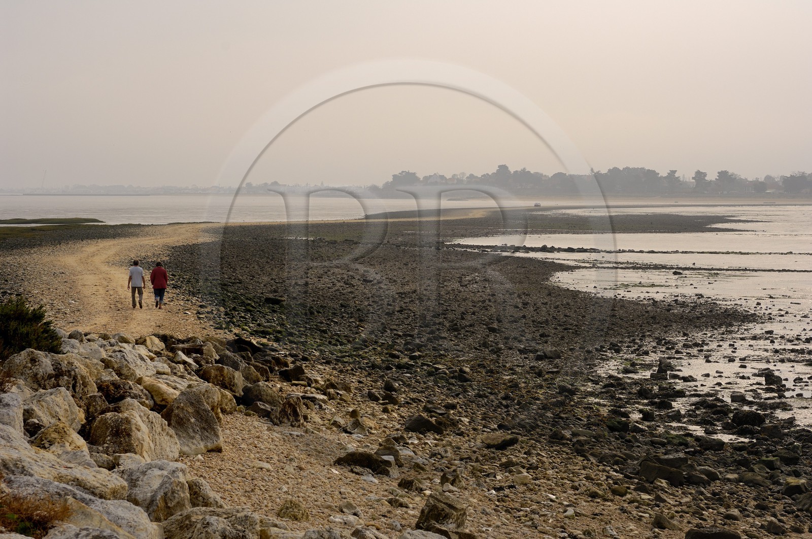 France, Charente-Maritime (17), Ile Madame, la Passe aux Boeufs à marée basse