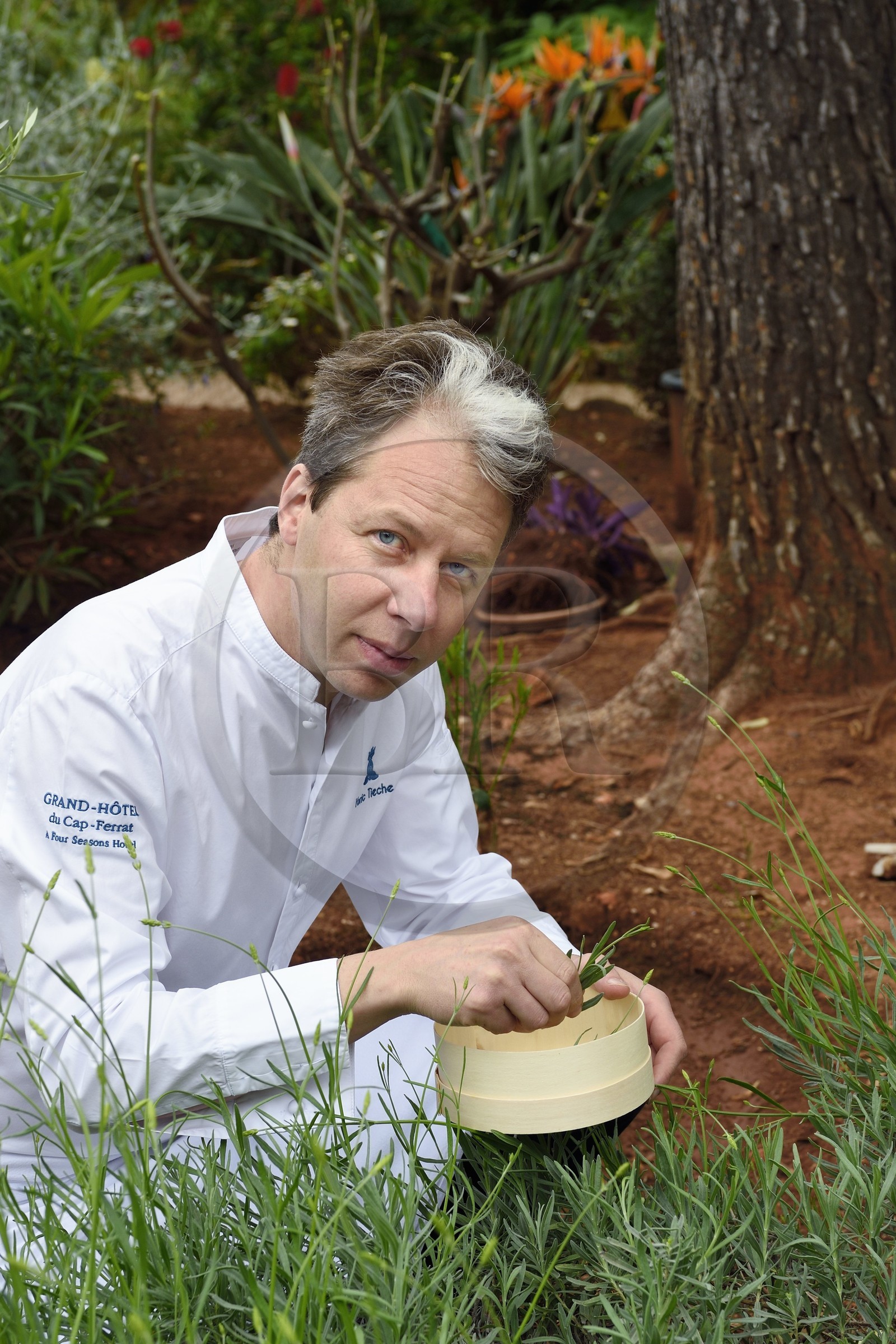 France, Alpes Maritimes (06), Saint-Jean-Cap-Ferrat, Grand-Hotel du Cap-Ferrat, palace 5 étoiles du groupe Four Seasons Hotel, le chef du restaurant étoilé Michelin Yoric Tièche dans le jardin aromatique dédié aux cuisines de l’hotel