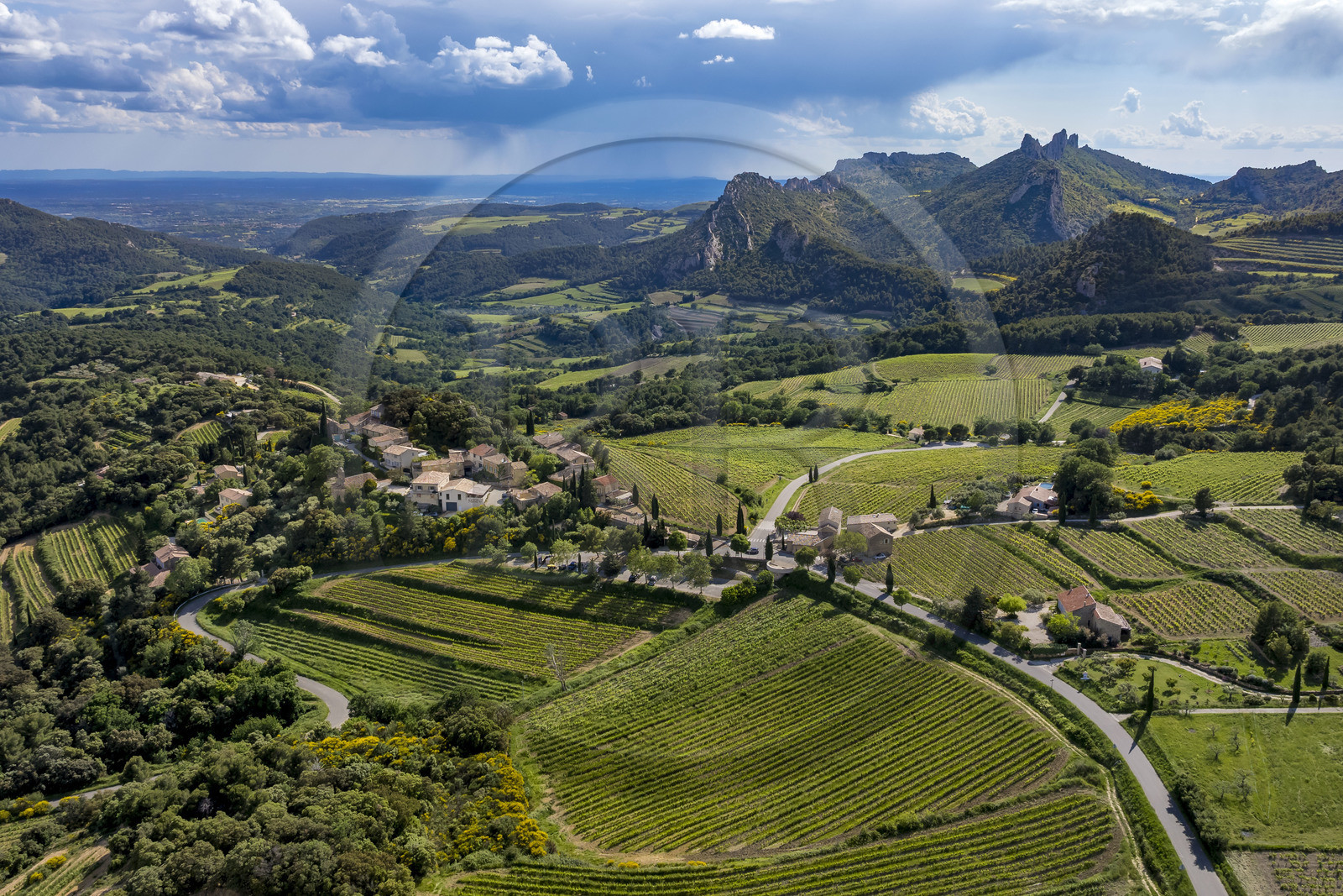 France, Vaucluse, Dentelles de Montmirail mountains, the terraced vineyard surrounding the village of Suzette, the Clapis extended by the Grand Montmirail on the left, the Dentelles Sarrasines in the center and the Grand Travers on the far right (aerial view)