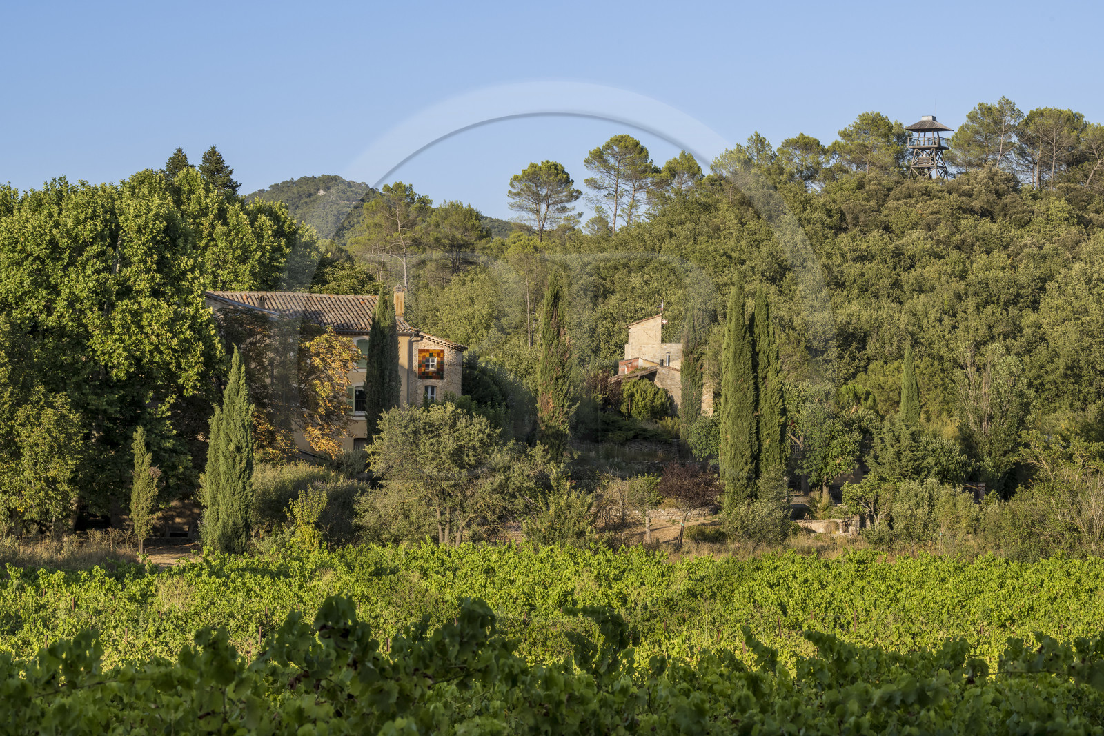 France, Var (83), Provence Verte, Bras, vers Saint-Maximin-la-Sainte-Baume, la maison d'hotes Le Peyrourier - une campagne en Provence