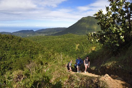 Caraïbes, Ile de la Dominique, Castle Bruce, Parc national du Morne Trois Pitons classé Patrimoine Mondial de l'UNESCO, randonneurs sur le sentier traversant la forêt tropicale et menant à la la Vallée de la Désolation puis au Boiling Lake