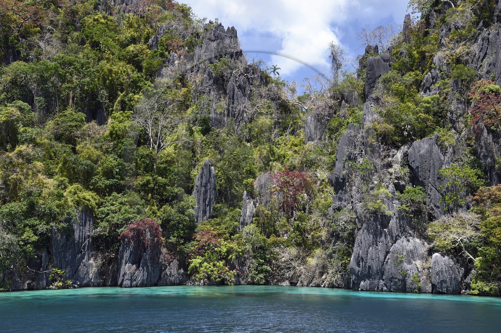 Philippines, Calamian Islands dans le nord de Palawan, Coron Island Natural Biotic Area, lagon et falaises de calcaire du Permien d'origine jurassique