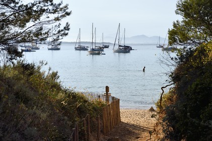 France, Var (83), Iles d'Hyères, parc national de Port Cros, Ile de Porquerolles, plage de la Courtade