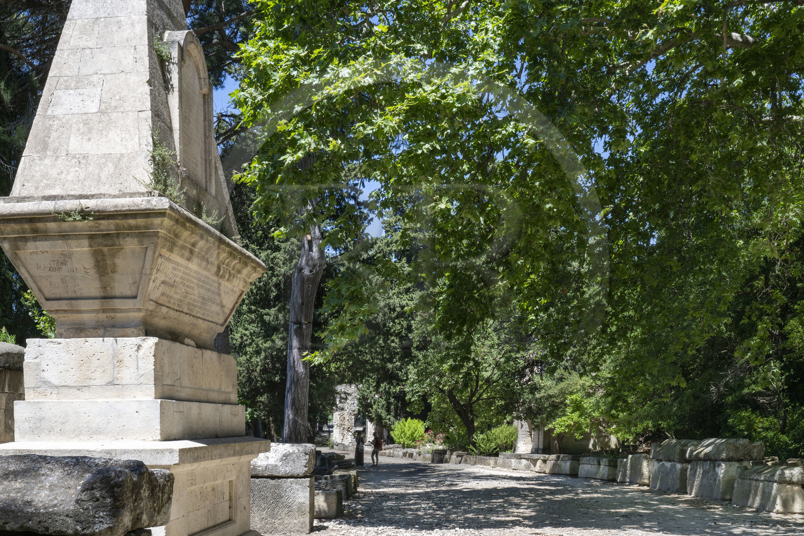 France, Bouches-du-Rhône (13), Arles, les Alyscamps, site classé Patrimoine Mondial de l'UNESCO, nécropole païenne puis chrétienne de l'époque romaine au Moyen Age, comprenant de très nombreux sarcophages