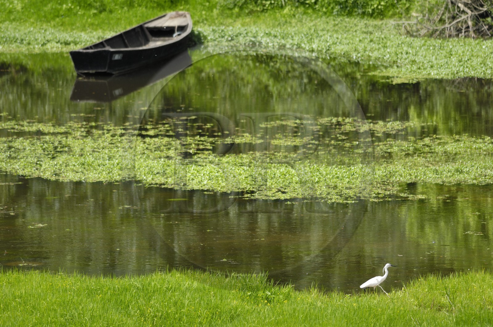 France, Indre-et-Loire (37), Vallée de la Loire classée Patrimoine Mondial de l' UNESCO, bords de Loire à l'ouest de Villandry