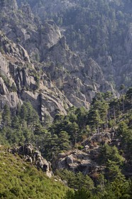 France, Haute-Corse (2B), Corte, Vallée de la Restonica