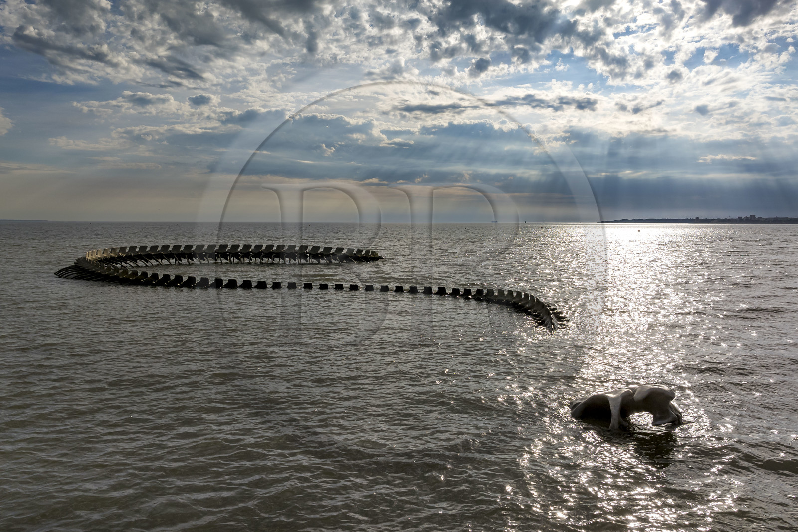 Saint-Brevin-les-Pins, Mindin, collection d'art contemporain à ciel ouvert Estuaire, le Serpent d'Océan réalisé par l'artiste chinois Huang Yong Ping représentant un long squelette de serpent de mer, installé sur l'estran et apparaissant au rythme des marées (vue aérienne)
