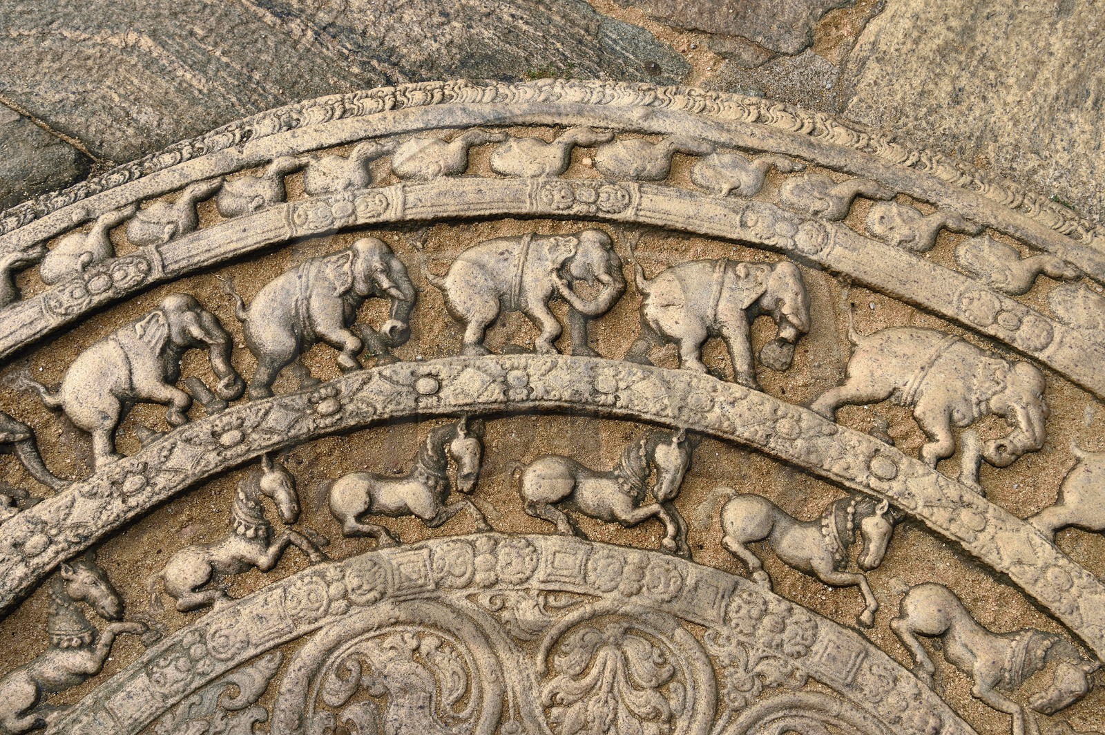 Sri Lanka, province du Centre-Nord, Polonnaruwa, l'ancienne capital du pays (XIe au XIIIe siècle) est classée au Patrimoine Mondial de l'UNESCO, terrasse de la relique de la dent, pierre de lune en demi-cercle (sandakada pahana)