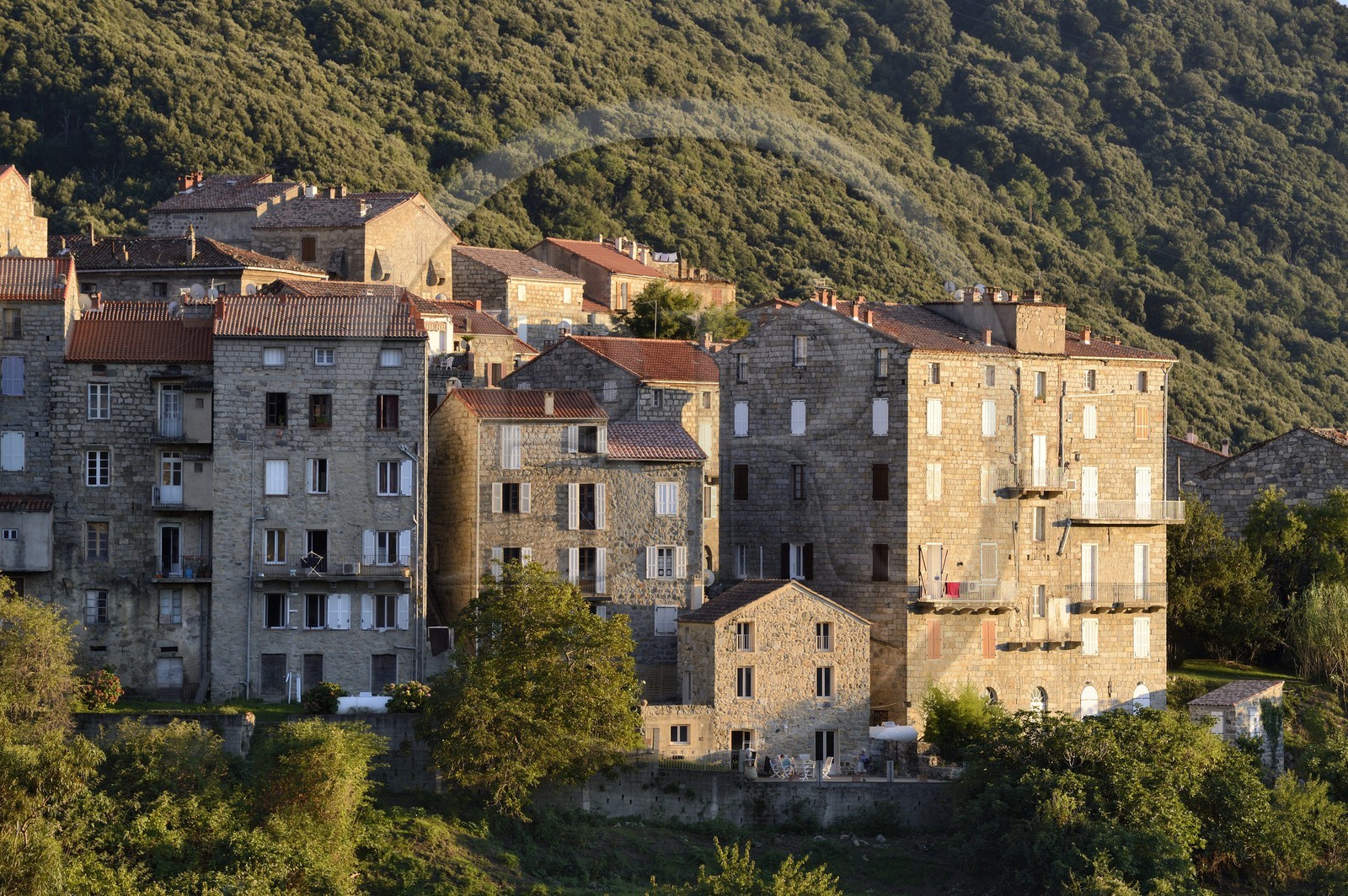 France, Corse-du-Sud (2A), Alta Rocca, Sainte-Lucie-de-Tallano (Santa Lucia di Tallà)