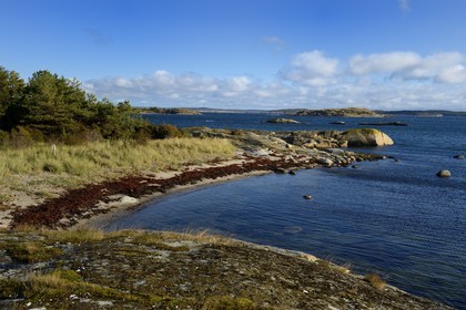 Sweden, Västra Götaland, Koster Islands, Sydkoster beach