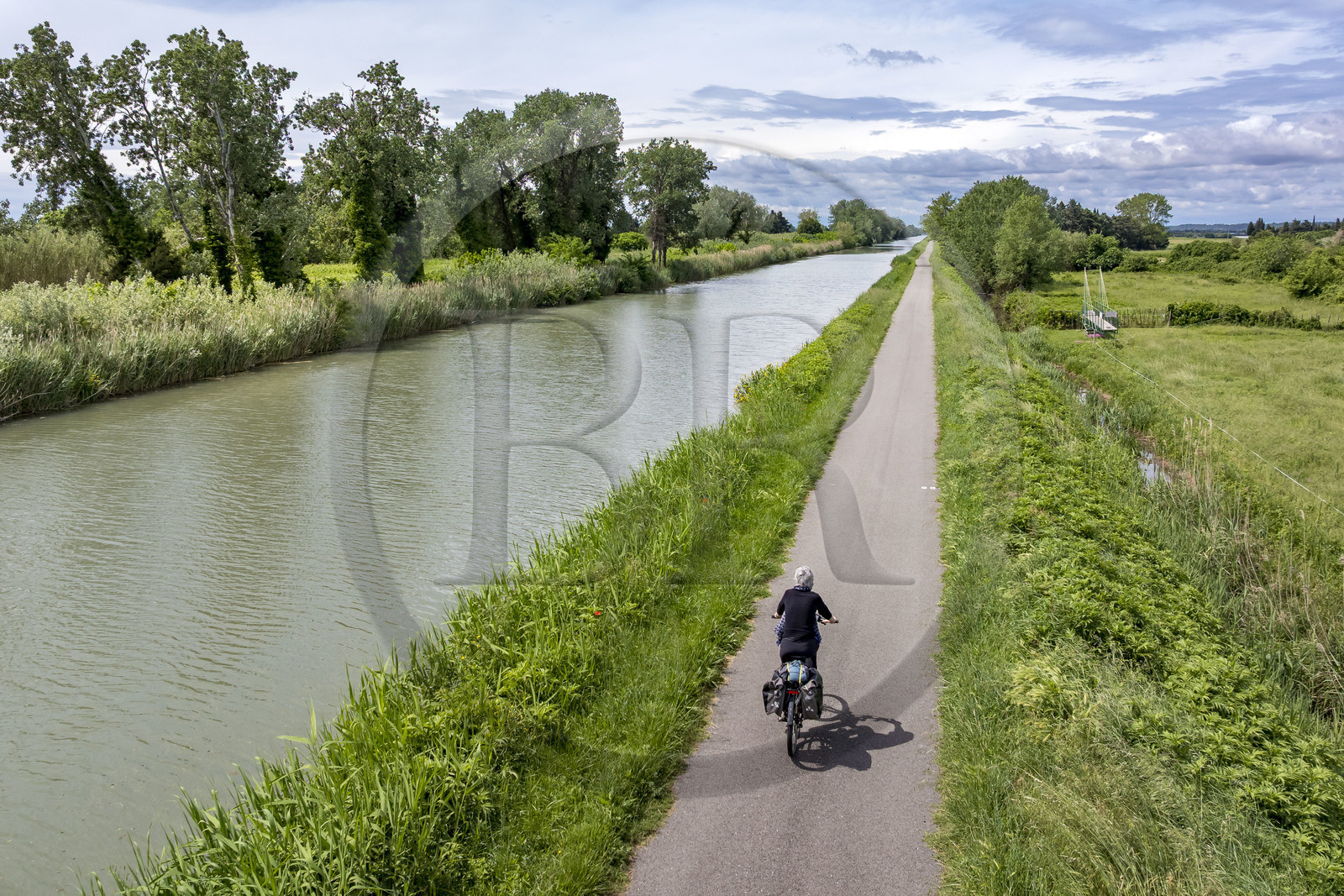 France (30), Gard, Beaucaire, cycliste sur la véloroute ViaRhona, voie Verte longeant ici le Canal du Rhone à Sète (vue aérienne)