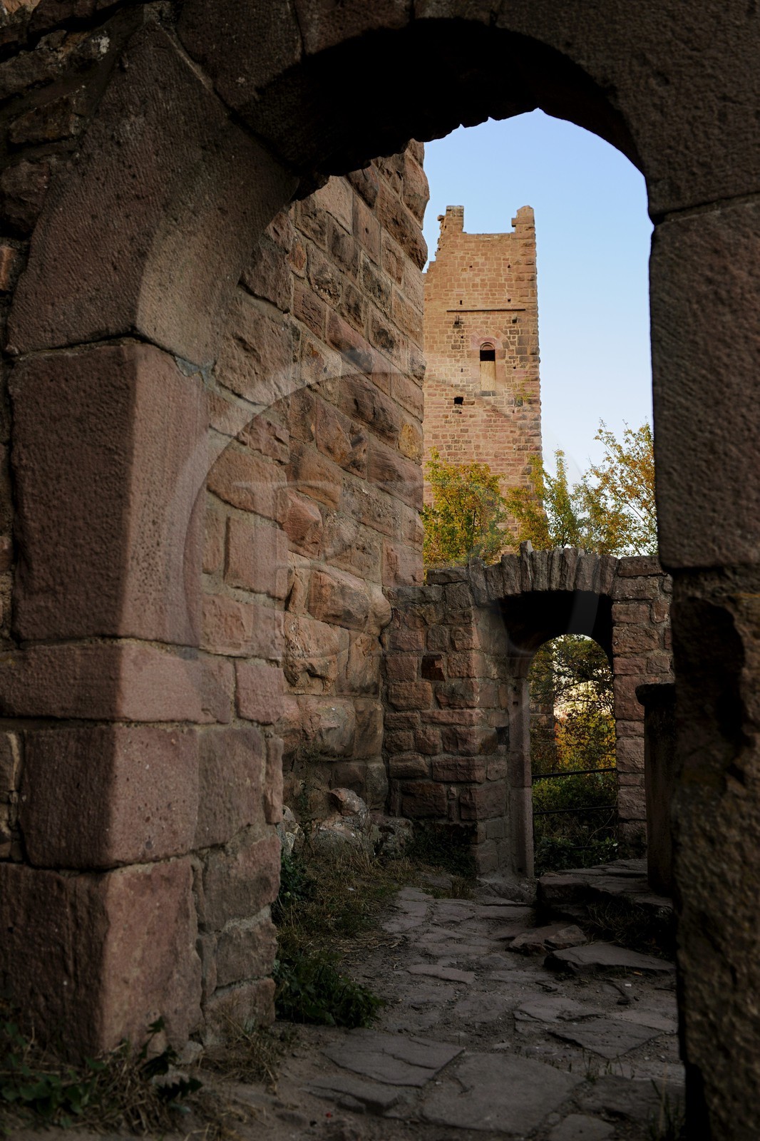France, Haut-Rhin (68), les trois donjons d'Eguisheim dans le massif des Vosges