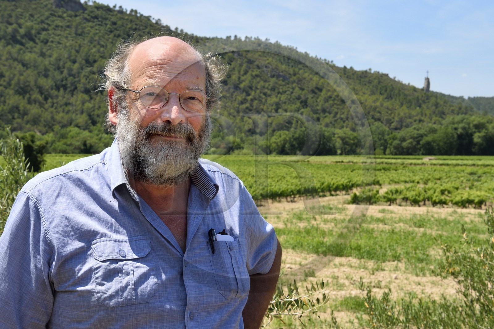 France, Var, Provence Verte, Correns, 1st organic village of France, the winegrower and mayor Michael Latz