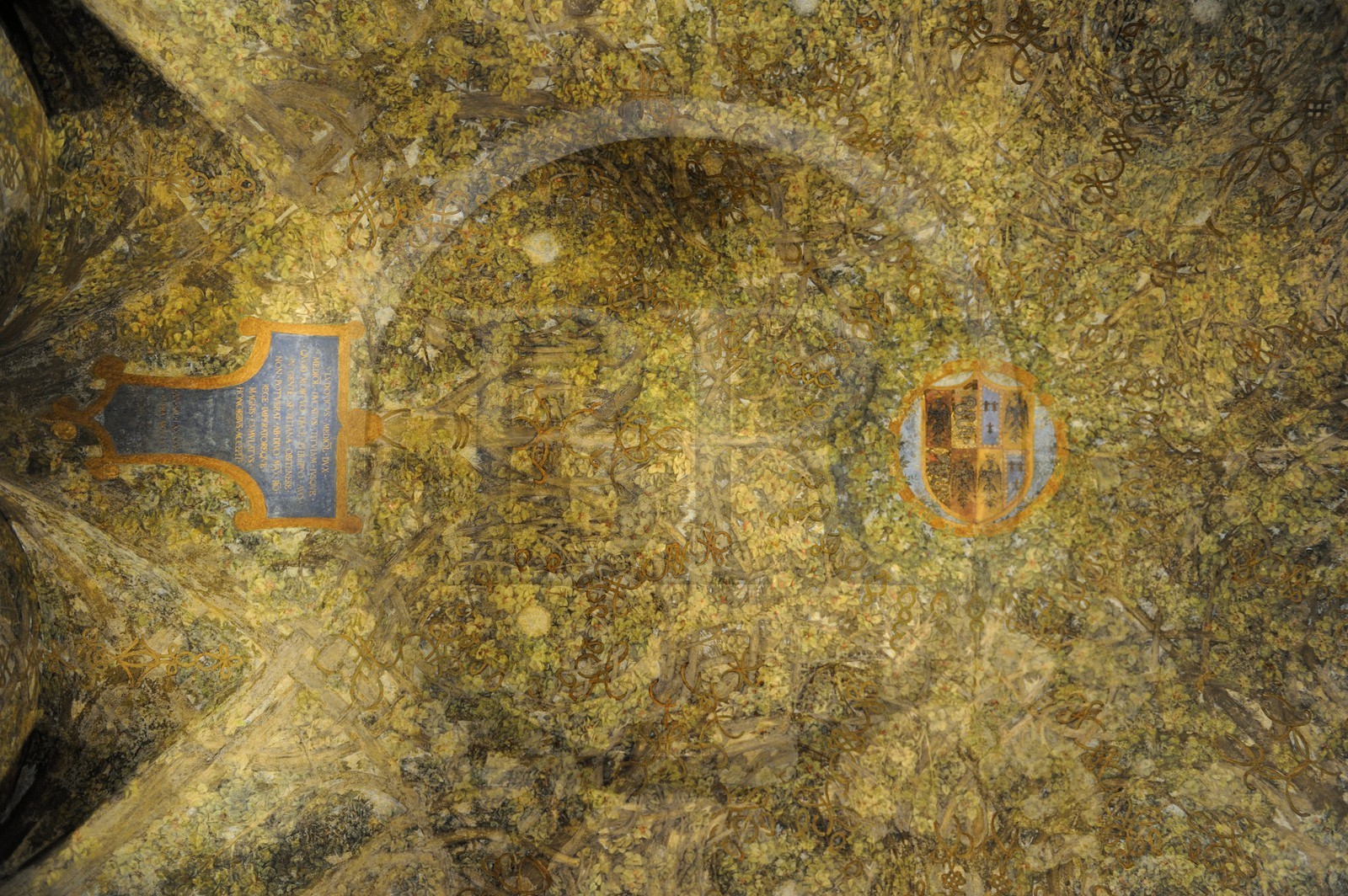 Italy, Lombardy, Milan, Castello Sforzesco (Sforza Castle), Leonardo da Vinci painted the tangle of tree trunks from the ceiling of the Sala delle Asse (1496-1497)