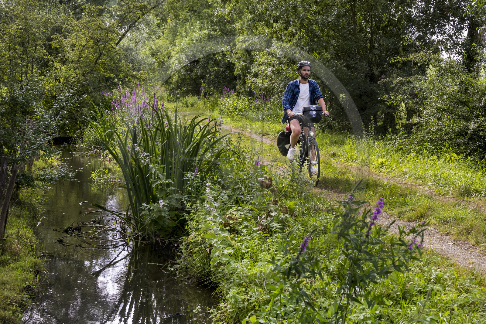 France, Deux-Sèvres (79), le Marais Poitevin, la Venise Verte, Le Vanneau-Irleau, randonnée à bicyclette le long des canaux