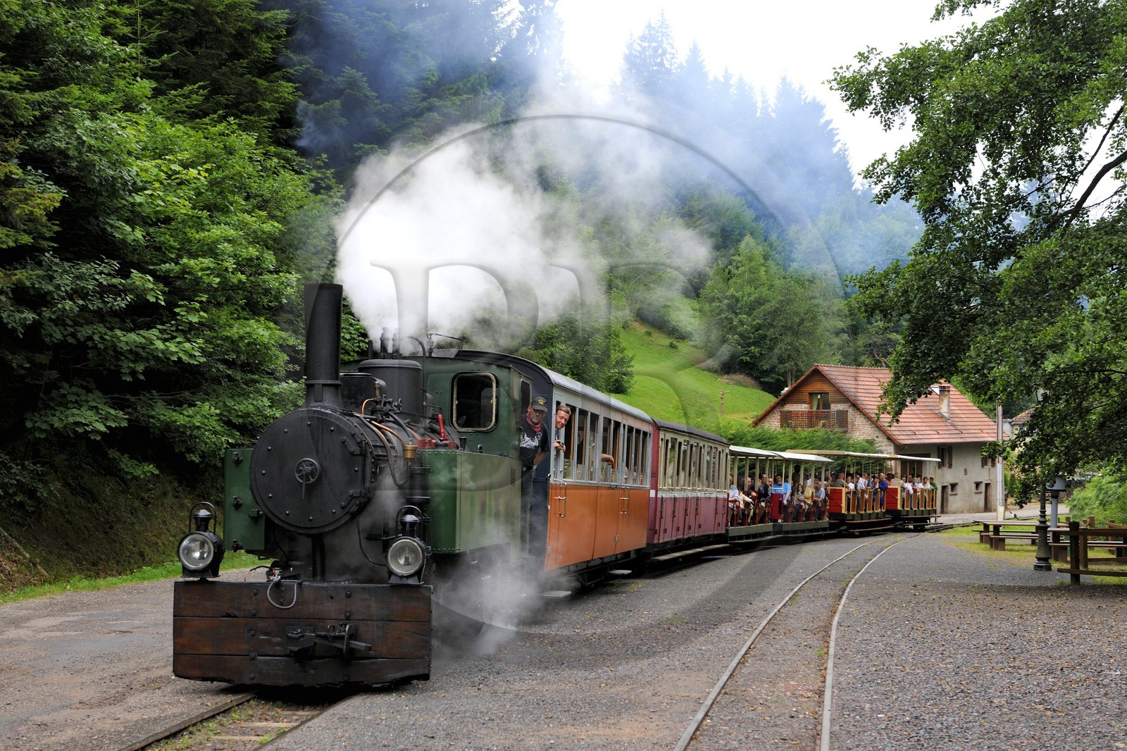 France, Moselle (57), Abreschviller, le petit train anciennement train forestier, Locomotive 02 + 20 T Mallet N°476, construite par la Maschinenfabrik Heilbronn en 1906 pour le réseau (exemplaire unique)