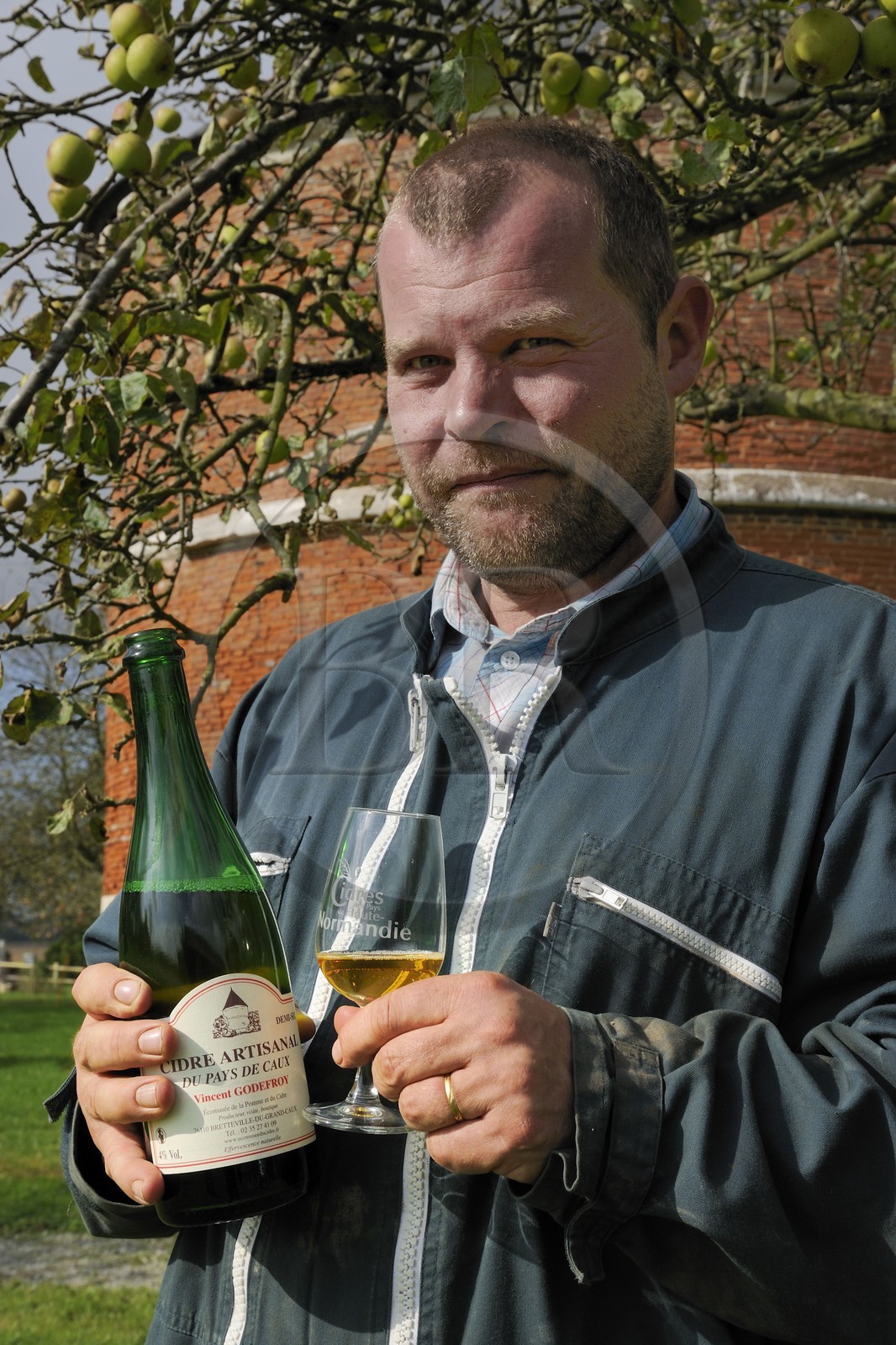 France, Seine-Maritime (76), Bretteville-du-Grand-Caux, clos-masure qui abrite l'Ecomusée de la Pomme et du Cidre au sein de la ferme, Vincent Godefroy producteur de cidre