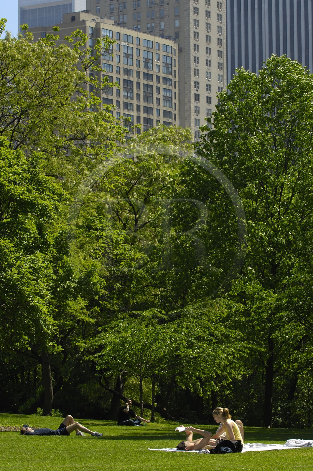 Etats-Unis, New York, Central park, farniente et sport le dimanche sur la pelouse The Sheep Meadow
