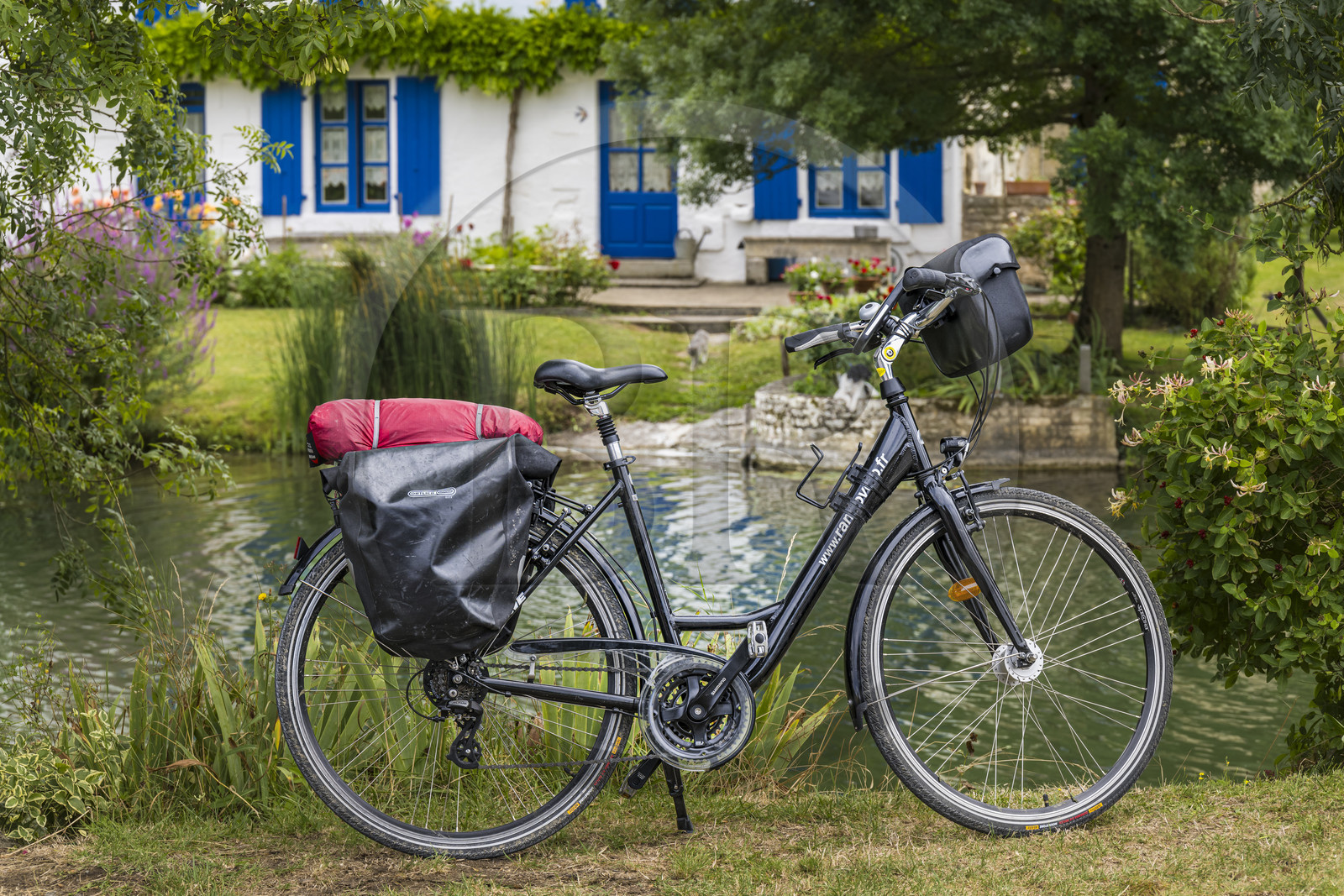 France, Deux-Sèvres (79), le Marais Poitevin, la Venise Verte, bicyclette concue pour la randonnée