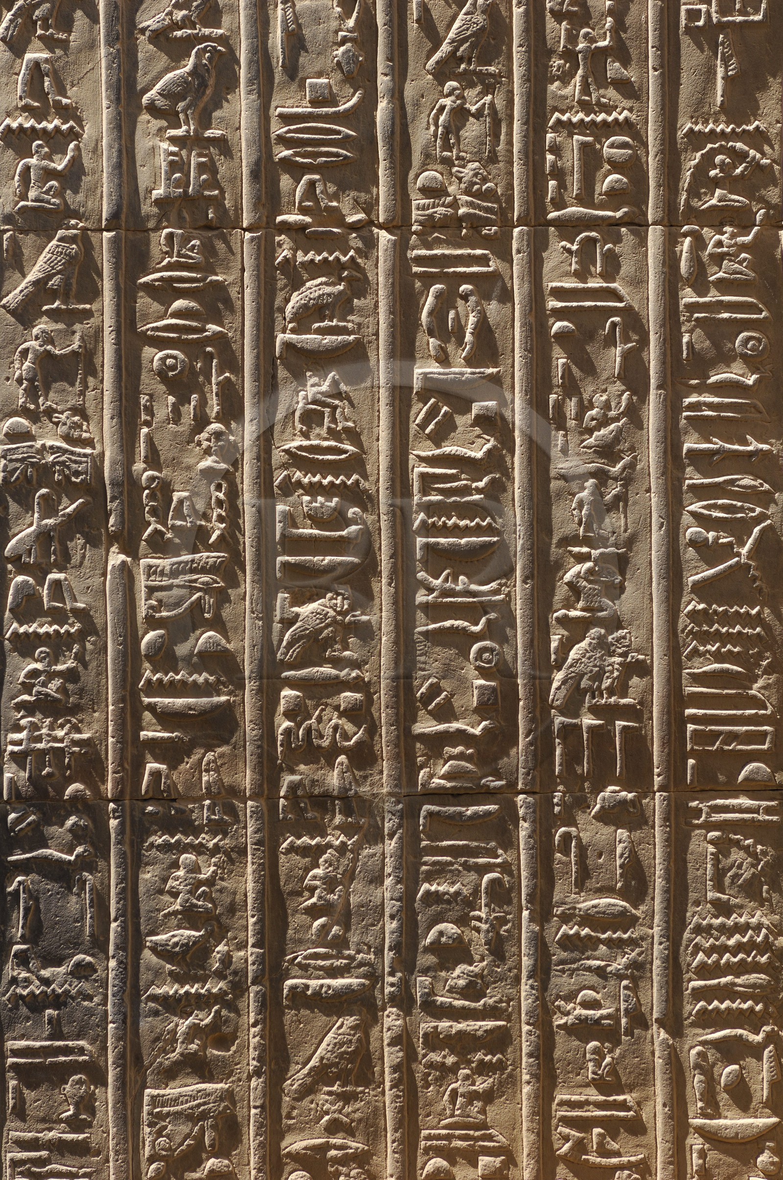 Egypt, Upper Egypt, Nile Valley, Kom Ombo Temple dedicated to Sobek, the god with a crocodile's head, hieroglyphics