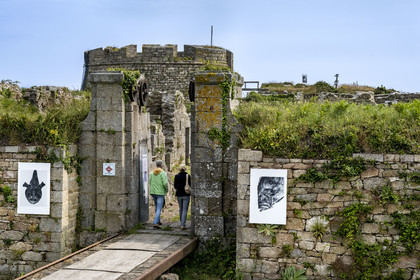 France, Finistère (29), Pays des Abers, estuaire de l'Aber Wrac'h, fort construit par Vauban début XVIIIème siècle sur l'Ile Cèzon