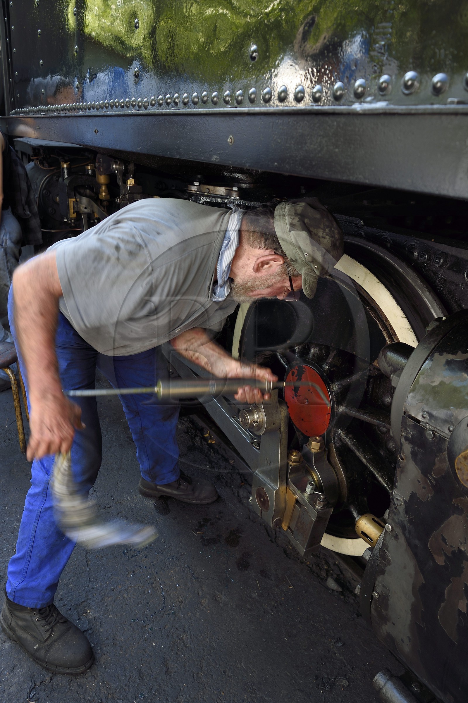France, Alpes-Maritimes (06), Puget Théniers, le Train des Pignes, locomotive en chauffe, opération de graissage de l'embiellage