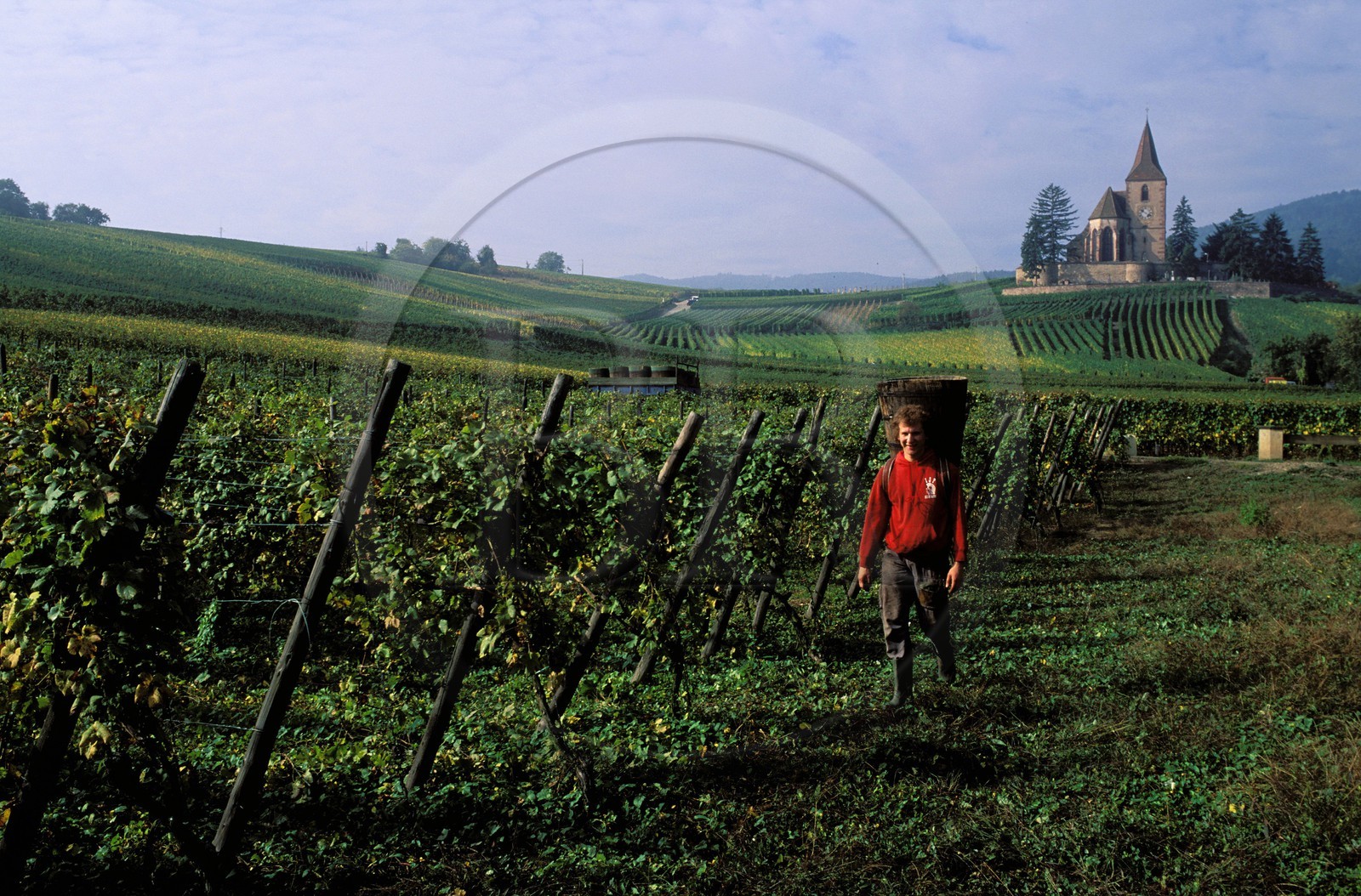France, Haut-Rhin (68), église dans les vignes d'Hunawihr
