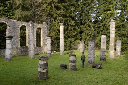 France, Meuse, Verdun region, battle of Verdun, the village of Ornes classified as mort pour la France (dead for France) is part of French villages destroyed in the First World War, church ruins
