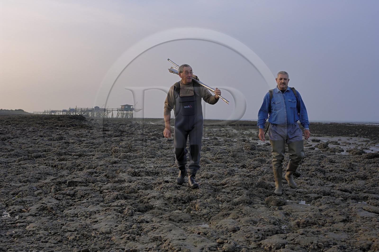 France, Charente-Maritime (17), Ile Madame, pêche à pied