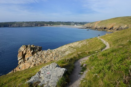 France, Finistère (29), Mer d'Iroise, Plogoff, la Baie des Trépassés entre la Pointe du Raz et la Pointe du Van en arrière plan, sentier du GR 34