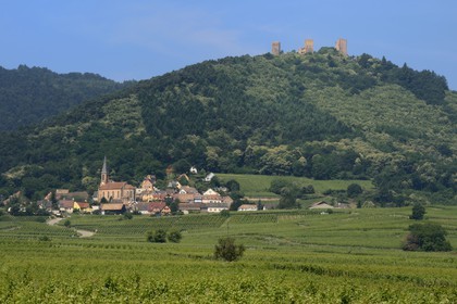 France, Haut-Rhin (68), Route des Vins d'Alsace, Husseren-Les-Chateaux à l'ouest d'Eguisheim
