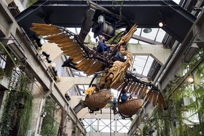 France, Loire-Atlantique, Nantes, gallery of the Machines de l'Ile in the hangars of former shipyards, an artistic project created by François Delaroziere and Pierre Orefice, the Mechanical Heron in flight