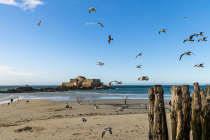 France, Ille et Vilaine, Cote d'Emeraude (Emerald Coast), Saint Malo, Fort National designed by Vauban and built by Siméon Garangeau from 1689 to 1693, Eventail beach at low tide with its wooden breakwaters