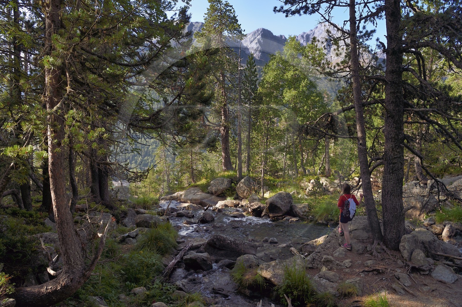 France, Hautes-Pyrénées (65), Saint-Lary-Soulan et Aragnouet, Réserve naturelle nationale du Néouvielle, randonnée des lacs du Neouvielle, randonneurs montant aux lacs des Laquettes