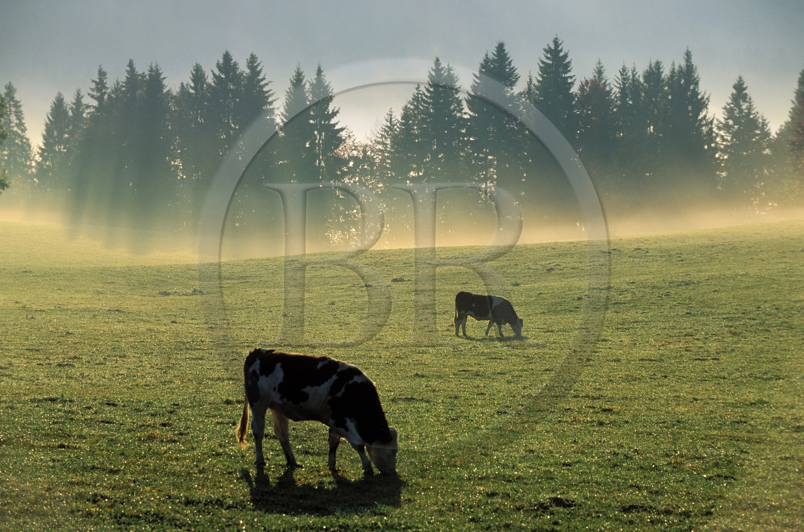 France, Doubs (25), région de Morteau à l'automne