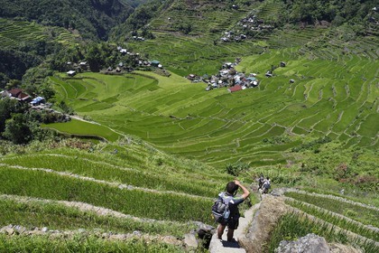 Philippines, province d'Ifugao, randonneur surplombant les rizières en terrasses de Banaue autour du village de Batad, classées Patrimoine Mondial de l'UNESCO