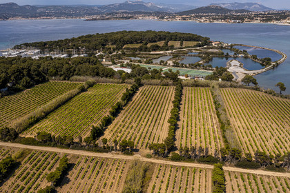 France, Var, Six Fours les Plages, Ile des Embiez, vineyard in the foreground and the ancient salt marshes (aerial view)