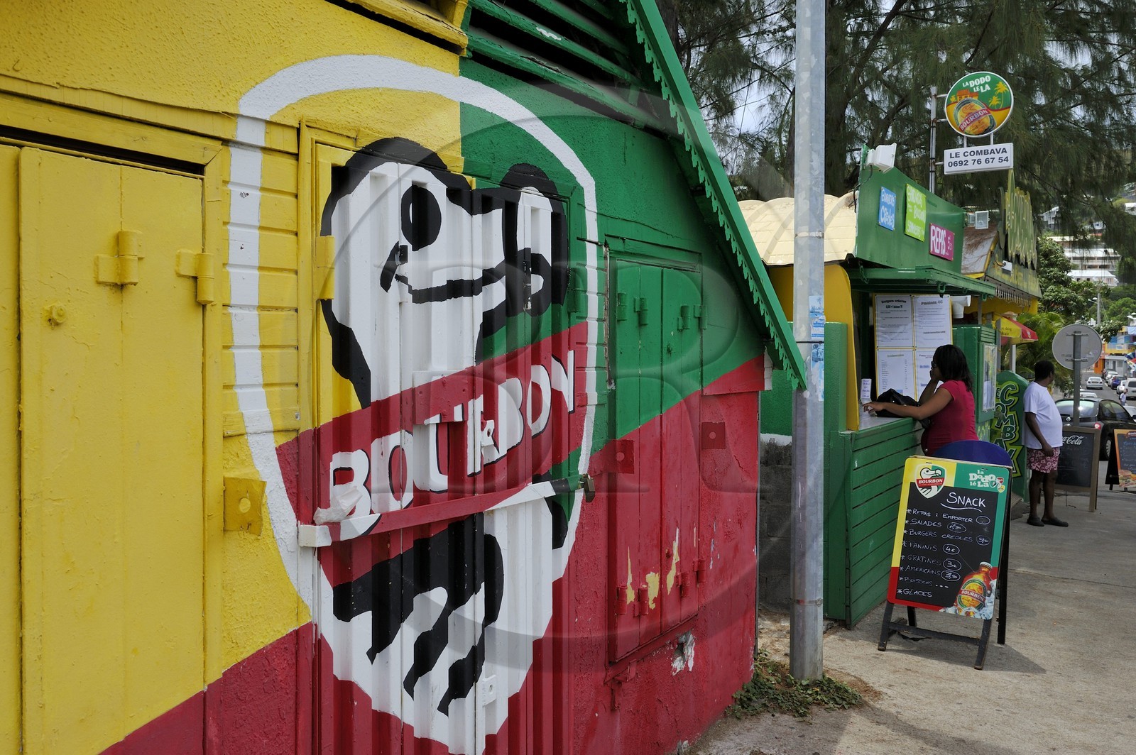 France, Ile de la Reunion, Saint-Gilles-Les-Bains, peinture murale publicitaire pour la bière Bourbon aussi appelée Dodo