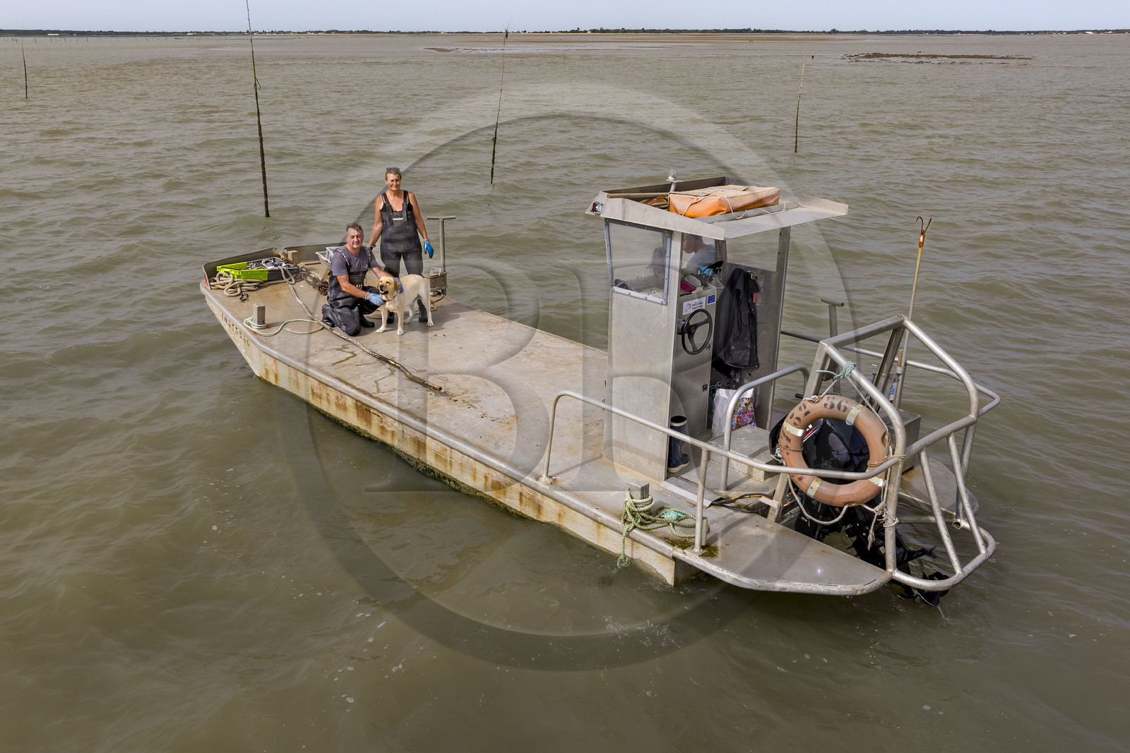 France, Charente Maritime, Oleron island, Dolus d’Oléron, the parks of the Marennes-Oléron basin in the Pertuis d'Antioche, Nadia Quillet and her husband Eric collect bags of crassostrea gigas in their oyster beds during the ebb tide (aerial view)