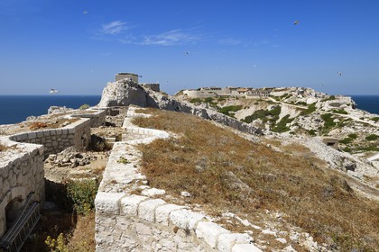 France, Bouches-du-Rhône (13), Marseille, Parc National des Calanques, Archipel des Iles du Frioul, Ile de Pomègues, batterie française du sémaphore (1880-1883)