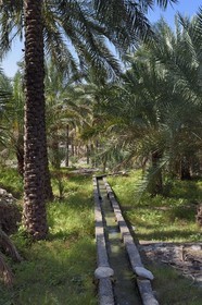 Sultanat d'Oman, gouvernorat de Al-Batina, Nakhal, canaux d'irrigation dans la palmeraie