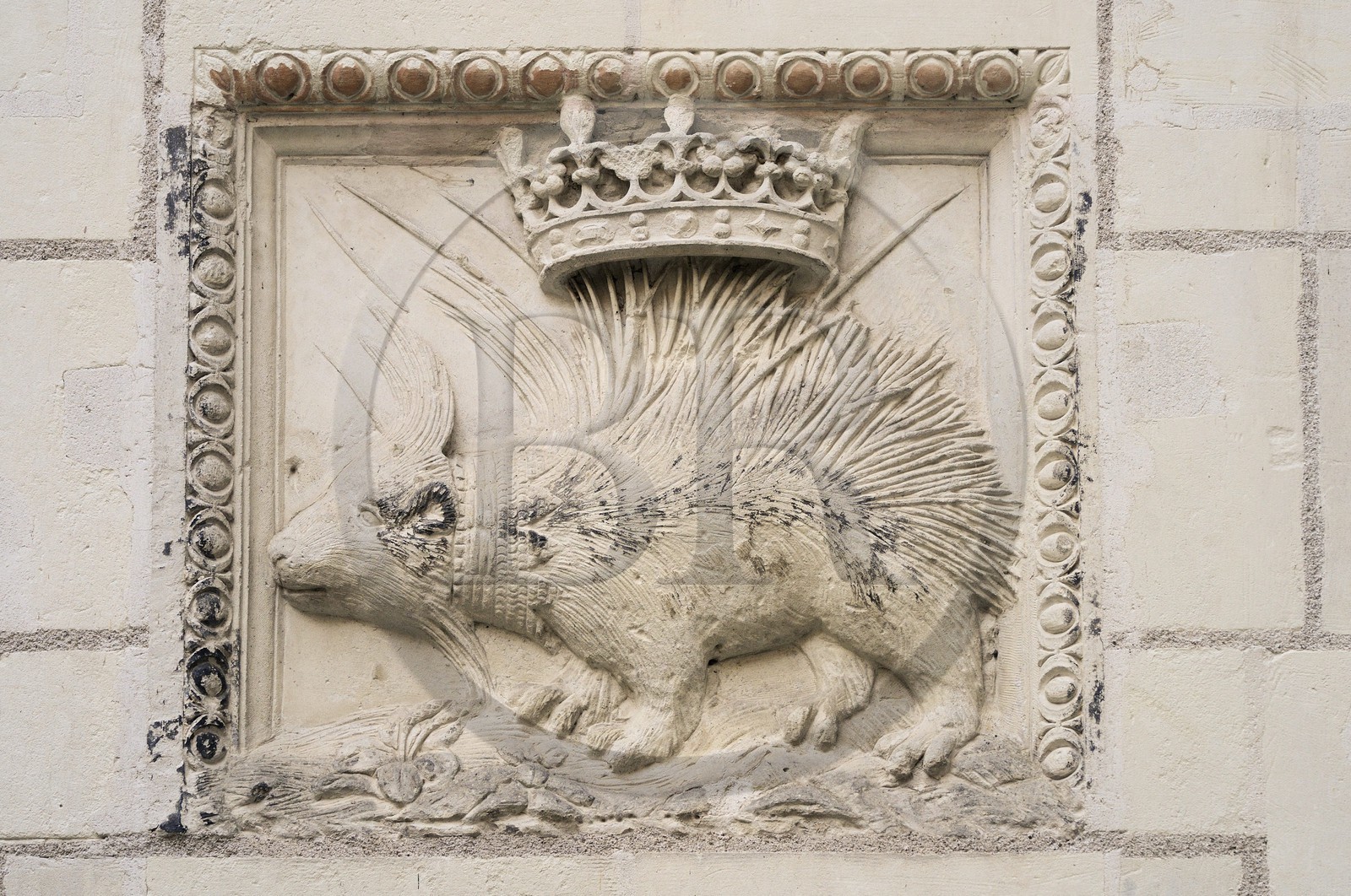 France, Loir et Cher, Blois, Sardini Mansion, Rue du Puits Chatel, only porcupine of Louis XII original