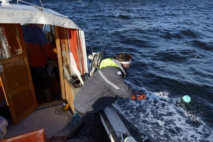 Sweden, Västra Götaland, Koster Islands, out to sea to retrieve lobster traps