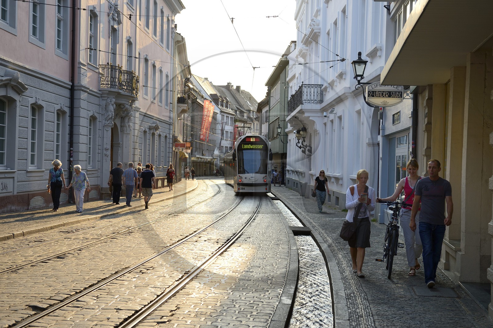 Germany, Baden-Wurttemberg, Freiburg im Breisgau, Salzstrasse, one of the Bächle which are small open channel lining the sidewalks of the old town