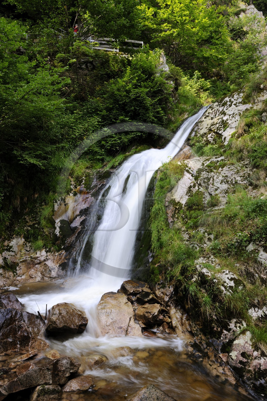 Germany, Black Forest, Schwarzwald, Baden-Württemberg, waterfalls of Allerheiligen convent (All Saints)