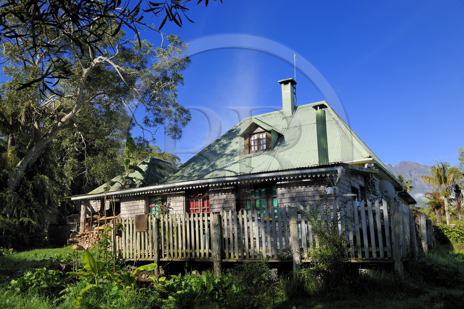 France, île de la Réunion, forêt de Bélouve, gîte de Bélouve