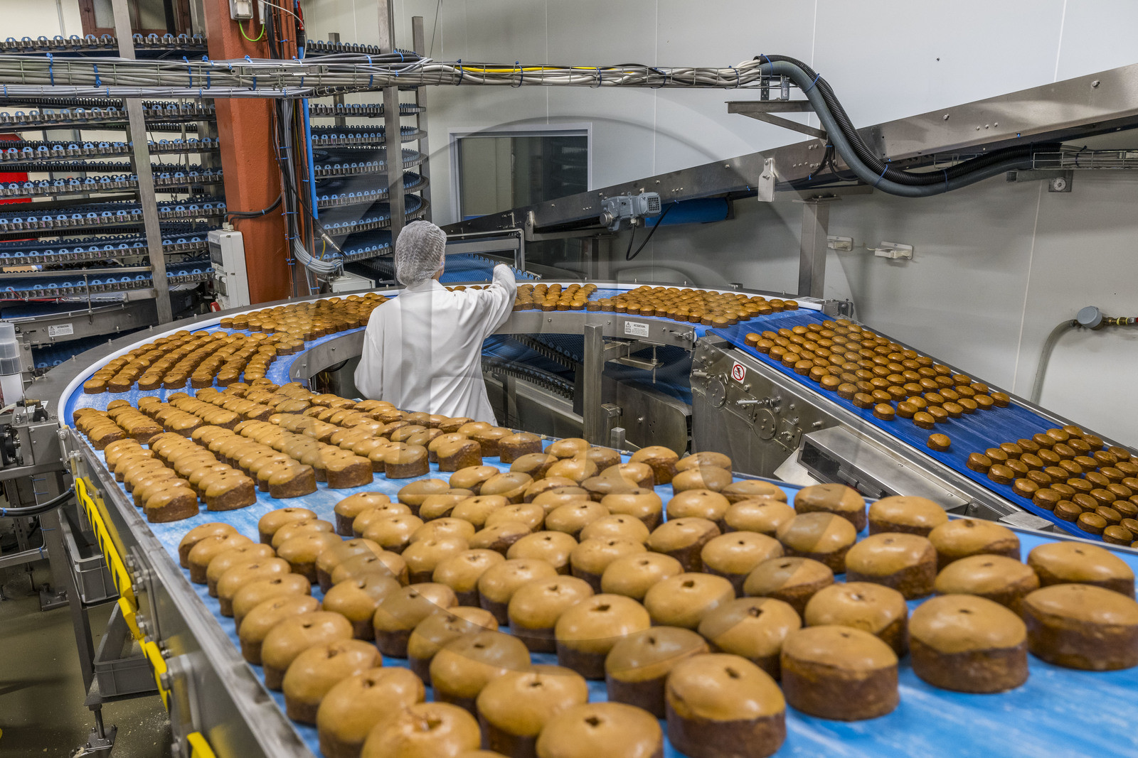 France, Côte-d'Or (21), Dijon, la fabrique de pains d'épices de la la maison Mulot et Petitjean, sortie de four, glacage et séchage à l'air libre pour les nonnettes, le produit phare