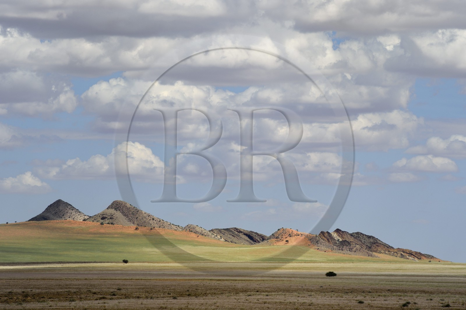 Namibie, région de Khomas, désert du Namib à l'Est du parc national Namib Naukluft