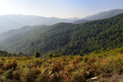 France, Haute-Corse (2B), Castagniccia, paysage depuis les hauteurs de La Porta