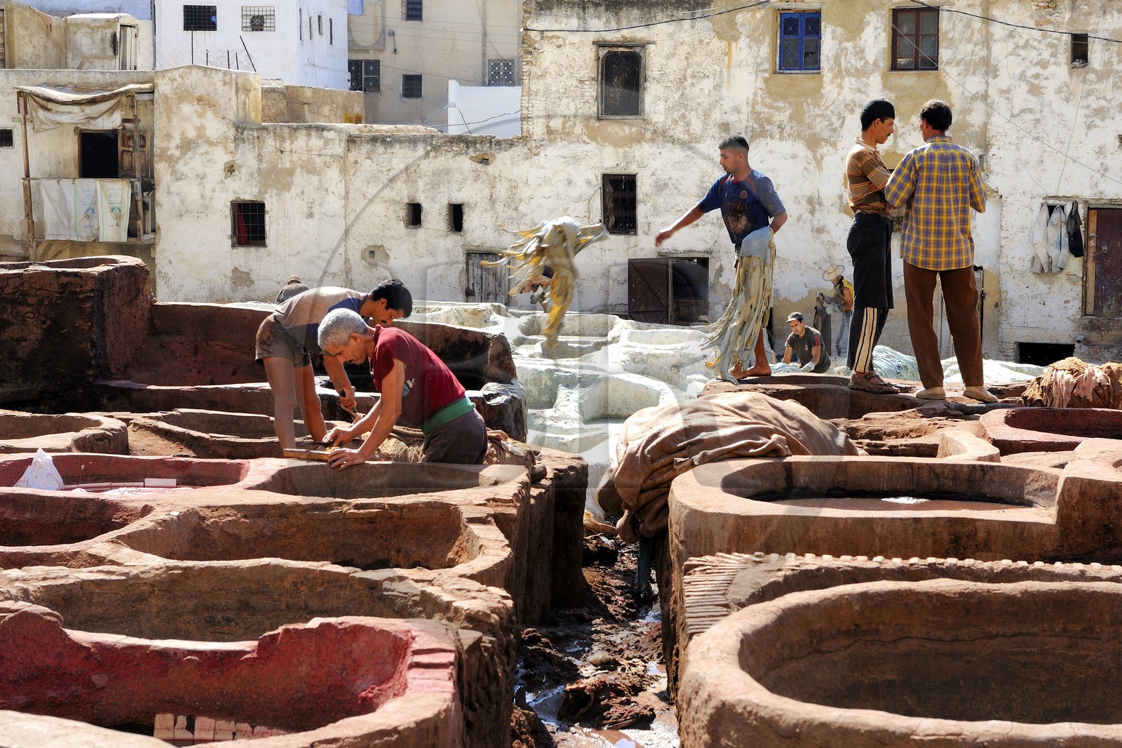 Maroc, Moyen Atlas, Fès, ville impériale, médina classée Patrimoine Mondial de l'UNESCO, Fès el Bali, quartier des tanneurs, Chouara